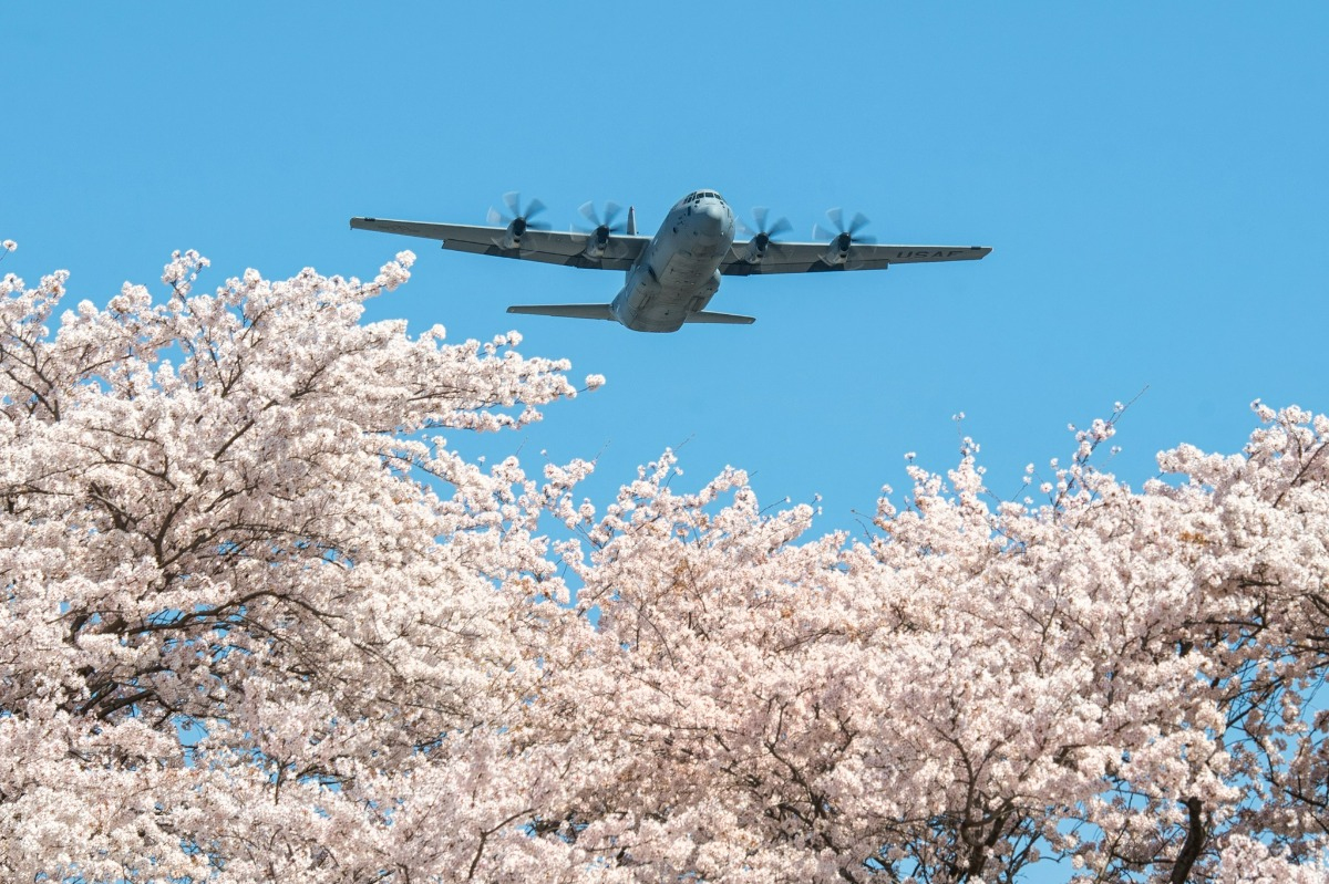 在日米空軍「横田基地 サクラスプリングフェスティバル2023」開催のお知らせ。 - ステージイベントも満載の予定！　家族で楽しめるイベントだ。