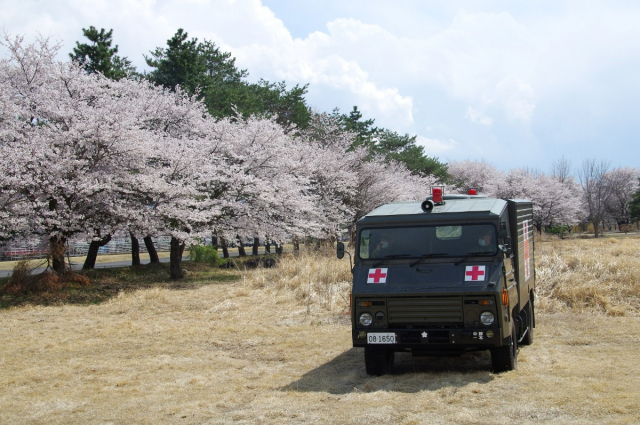 約400本 の桜を観に行こう！　「久留米駐屯地」が桜の一般開放。